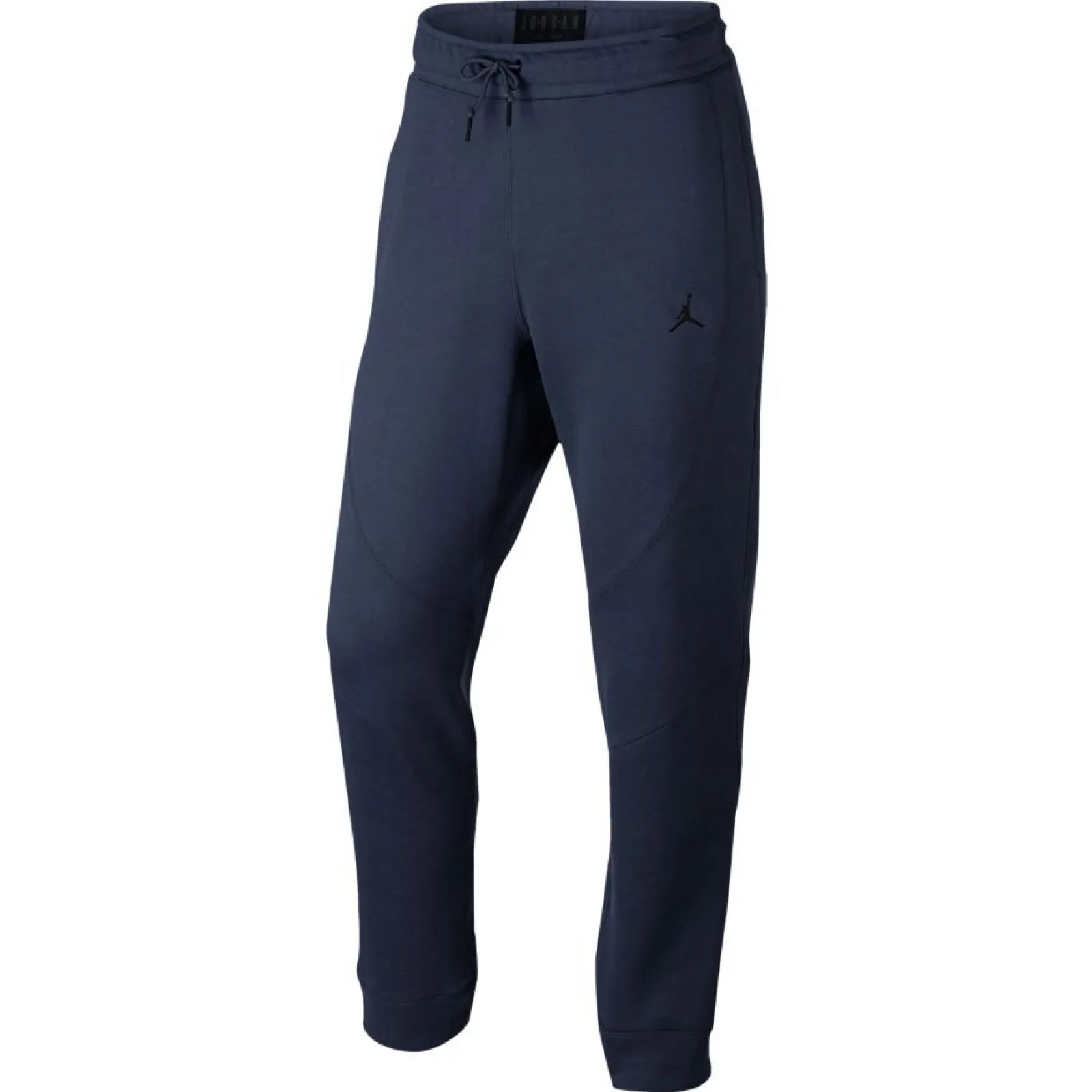 Blue Jordan Sportswear Wings Fleece Pants