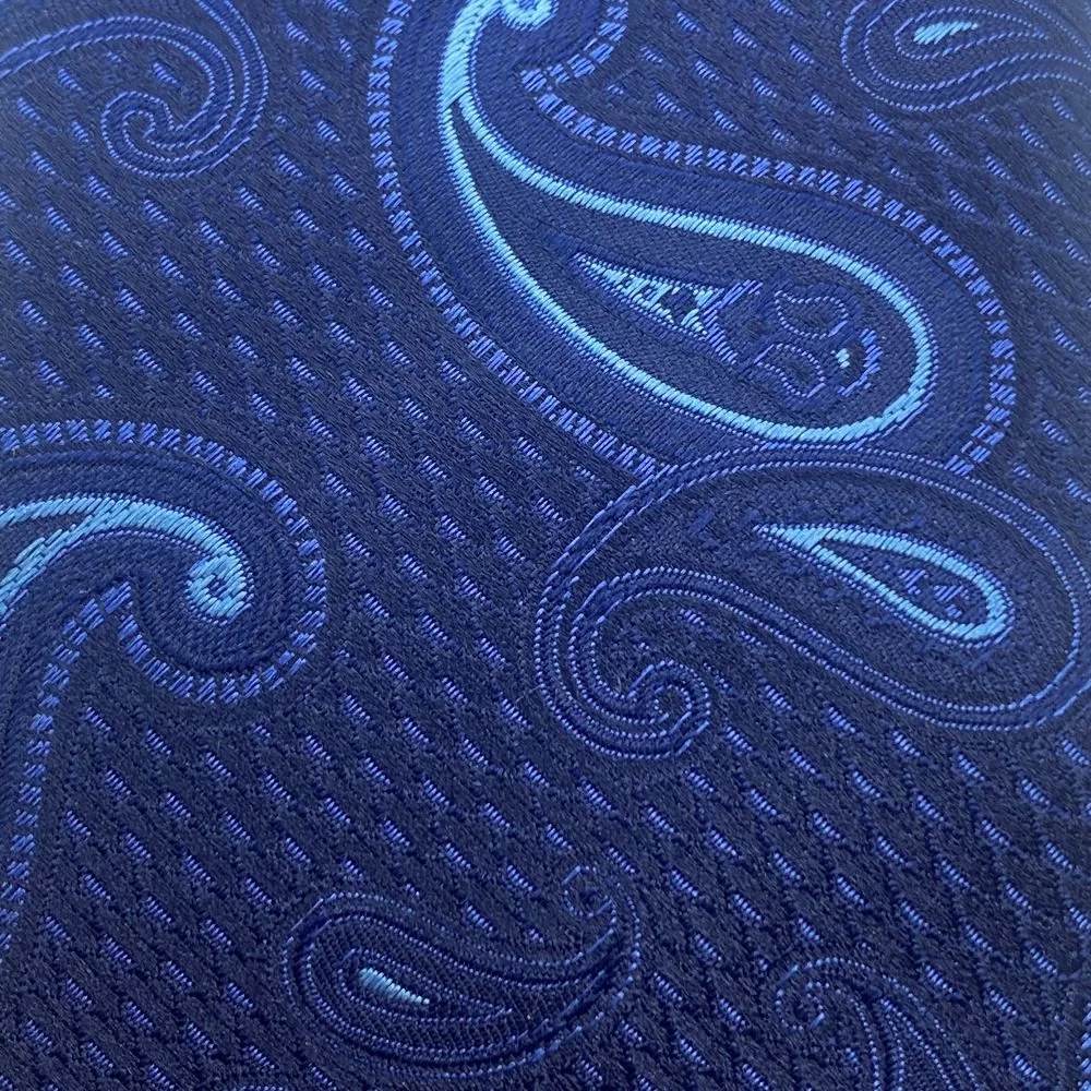 Blue Paisley Silk Tie