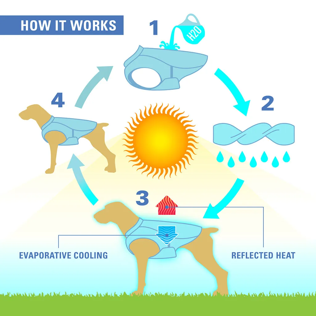 Core Cooling Vest