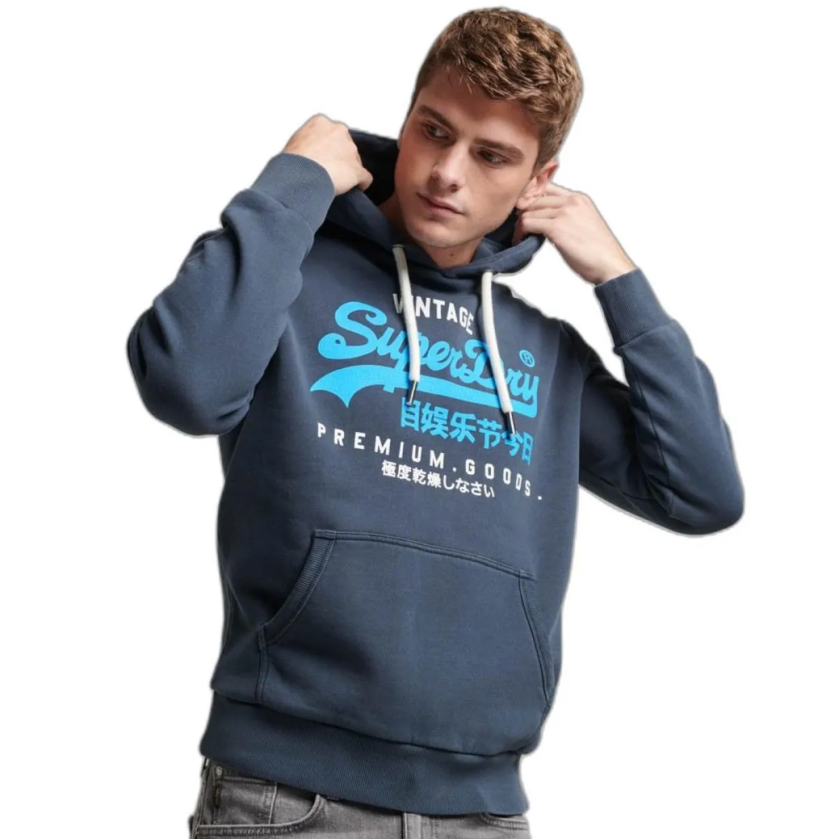 Superdry Premium Logo Hooded Sweatshirts Midnight Navy